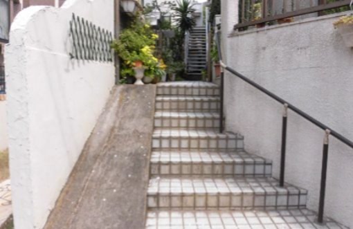 シェルドエル その他5