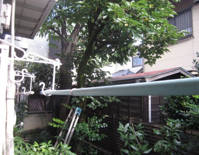 シェルドエル その他9