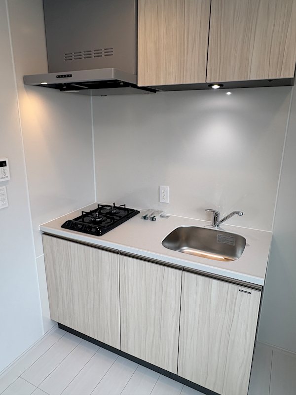 ブランシエスタ品川大井町パークエッジ キッチン