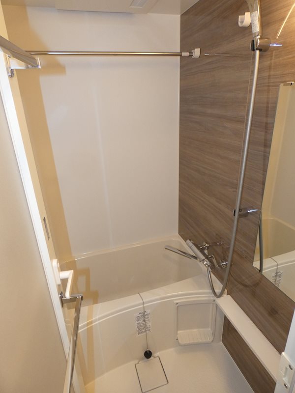 Brillia ist 大井町 風呂画像