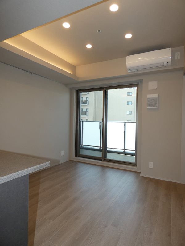 Brillia ist 大井町 その他7