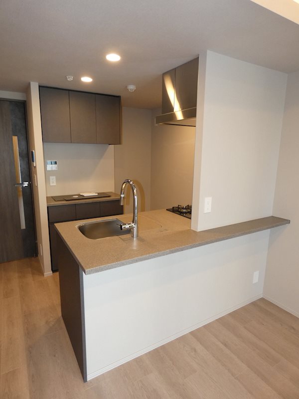 Brillia ist 大井町 その他9