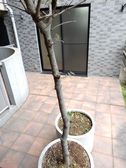 ストーン目黒 その他15