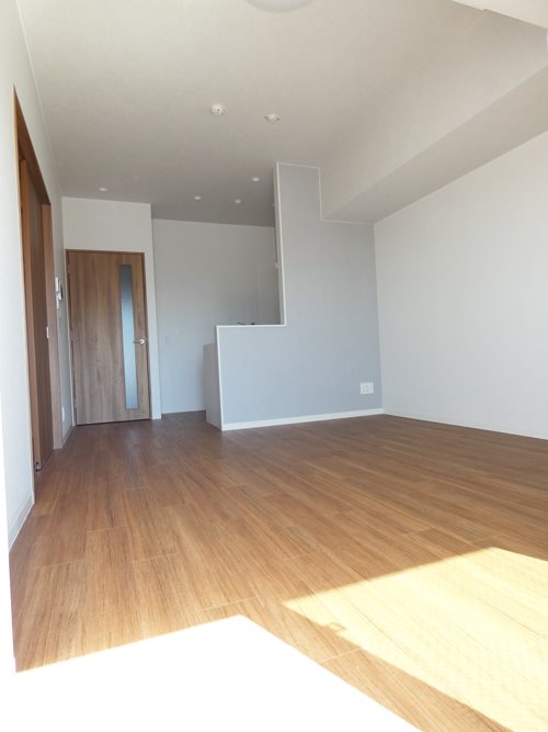 メゾンドゥ二コラ大井 リビング