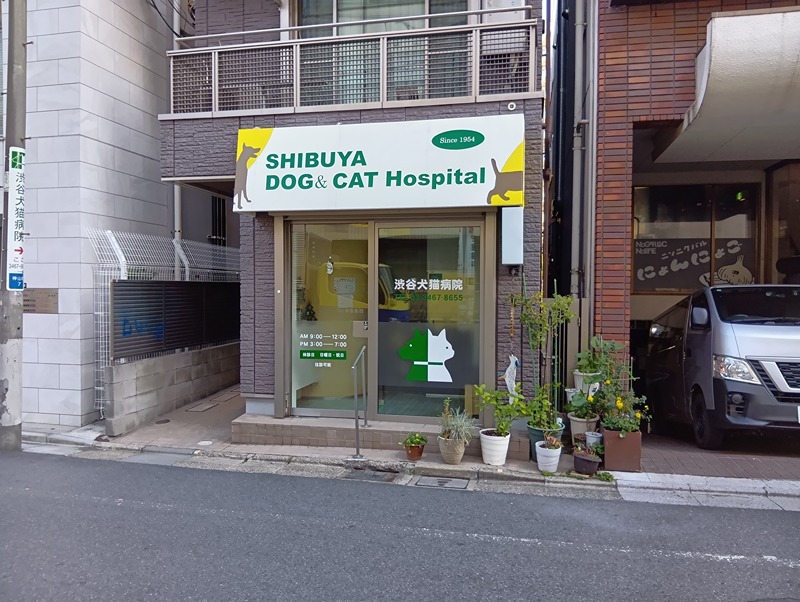 POWERs STATION （住戸） 周辺画像8