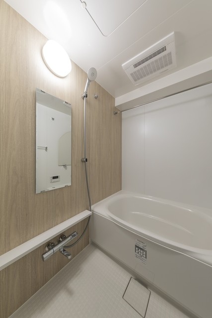 Ｂｒｉｌｌｉａ ｉｓｔ 武蔵小杉 風呂画像