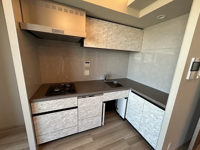 ブランシエスタ新丸子リバーフロント キッチン