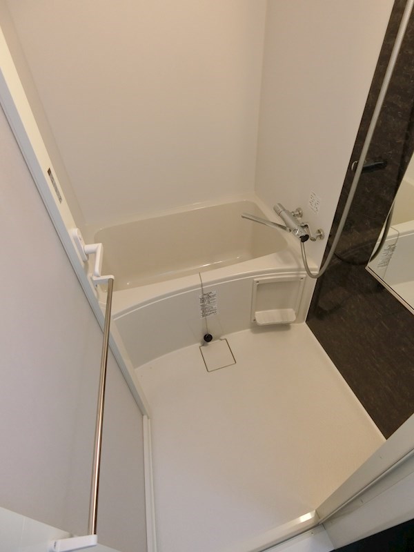 ディアレイシャス東京サウスパレス 風呂画像