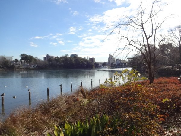 フレンシア洗足池 その他22