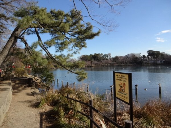 フレンシア洗足池 その他23