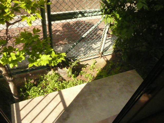 ボヌールT＆M ベランダ