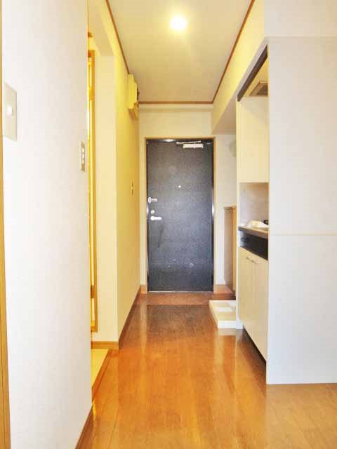 チェリーブラッサム その他10