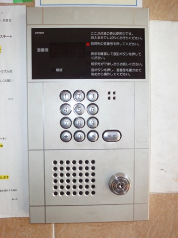 チェリーブラッサム その他13