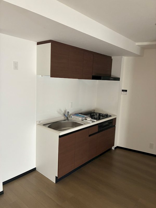 SOLASIAresidence大井町 キッチン