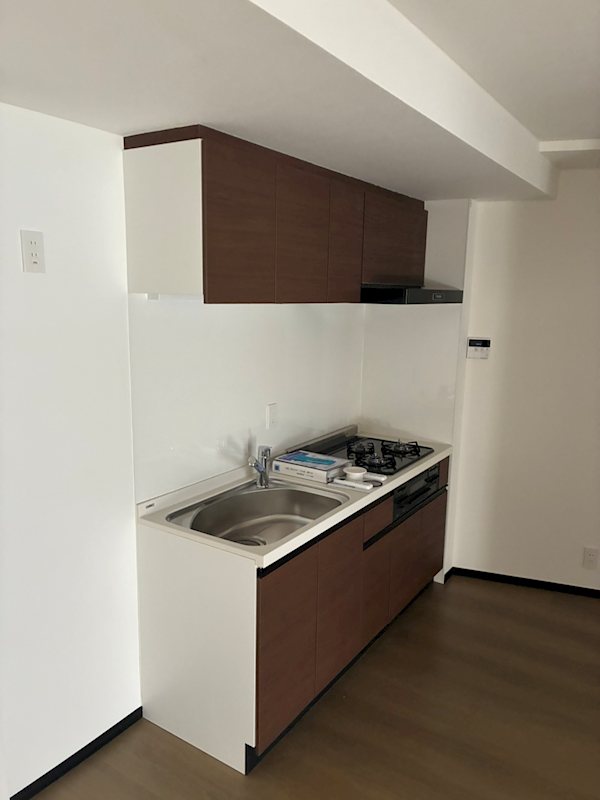 SOLASIAresidence大井町 キッチン