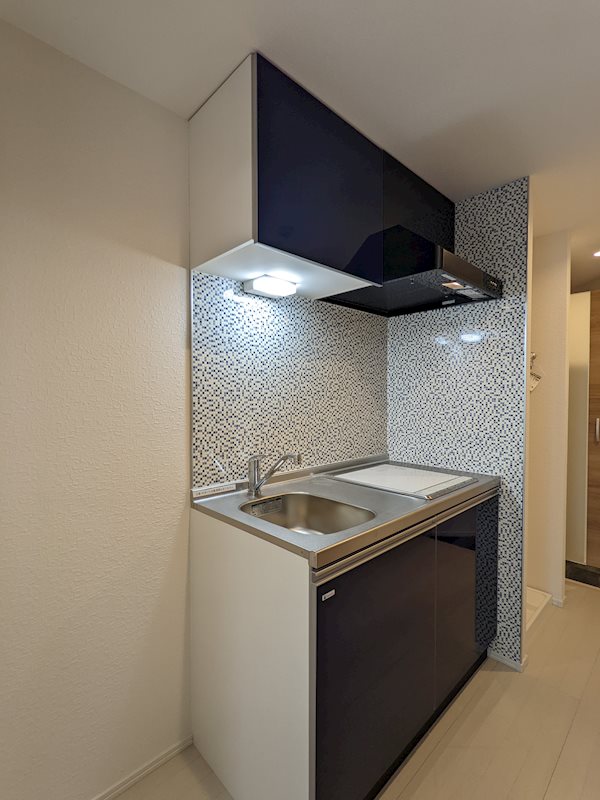 スカイコート武蔵新田Ⅱ キッチン