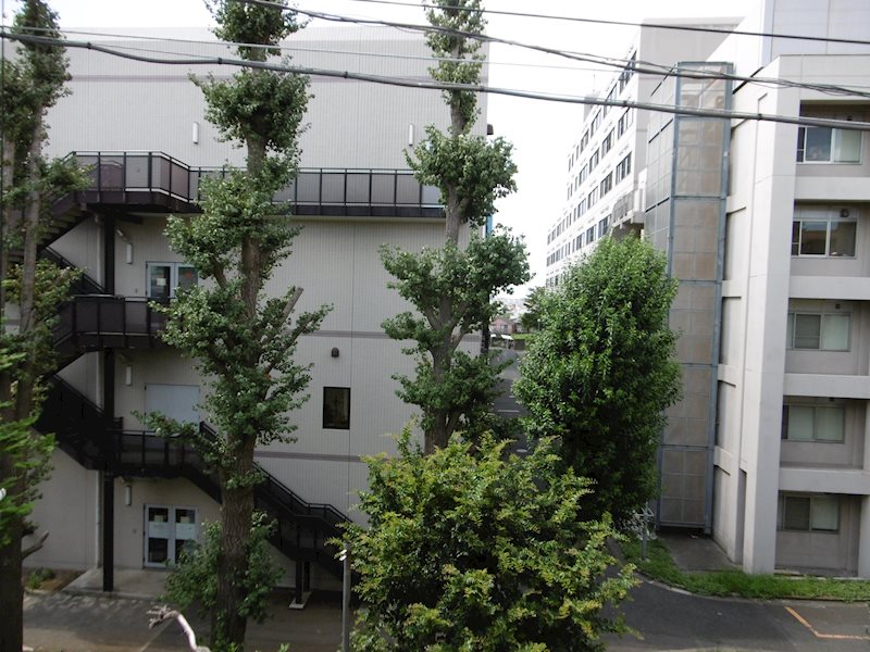 グリーンキャピタル石川台 その他外観6