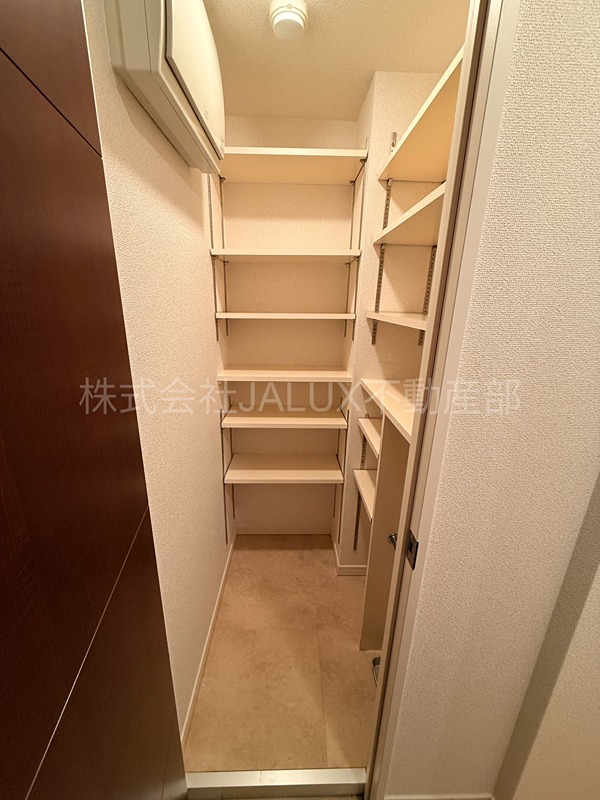 DreamAtlas樹心 その他3