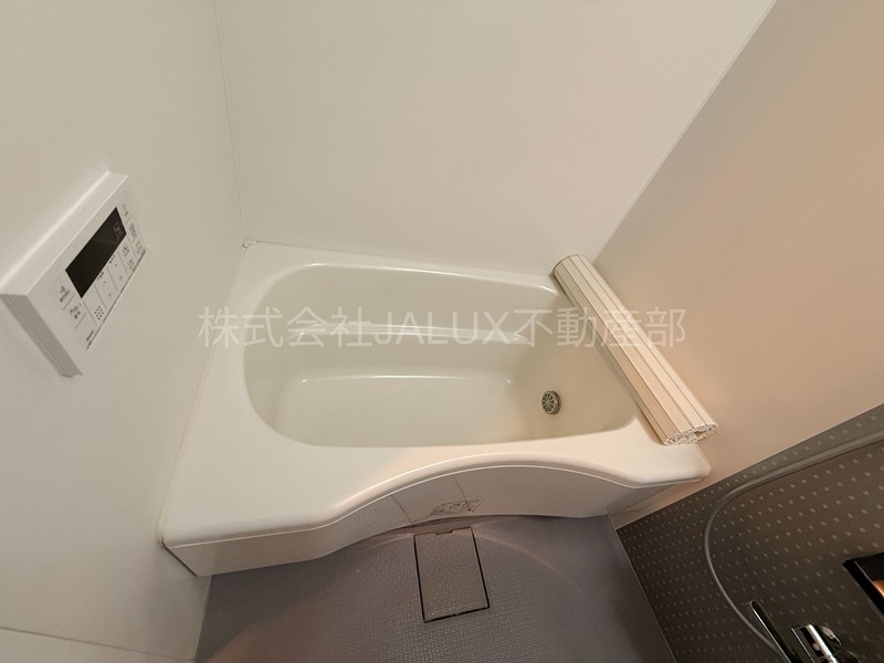 DreamAtlas樹心 その他5