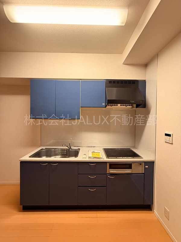 DreamAtlas樹心 キッチン