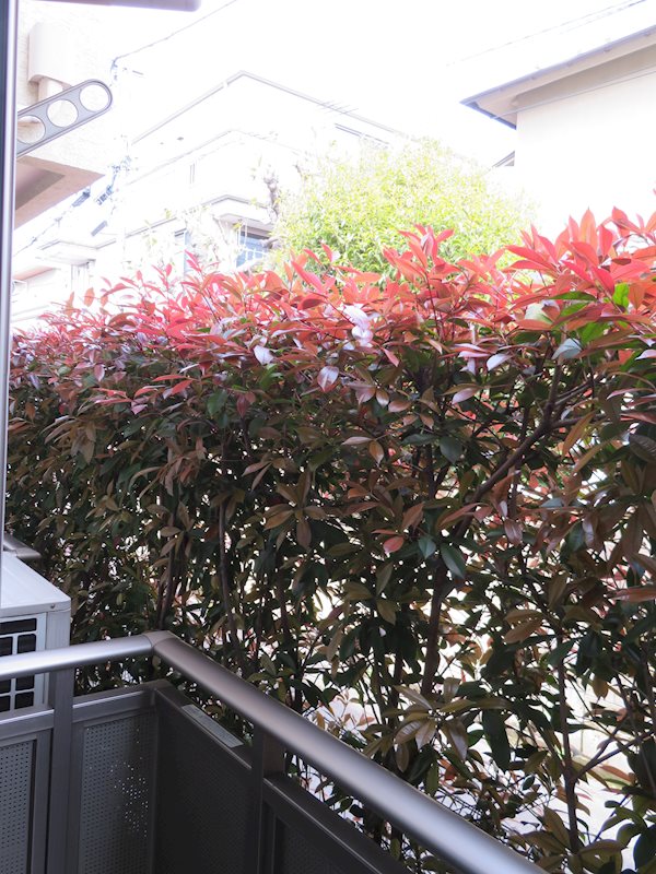 サウスウィンド ベランダ