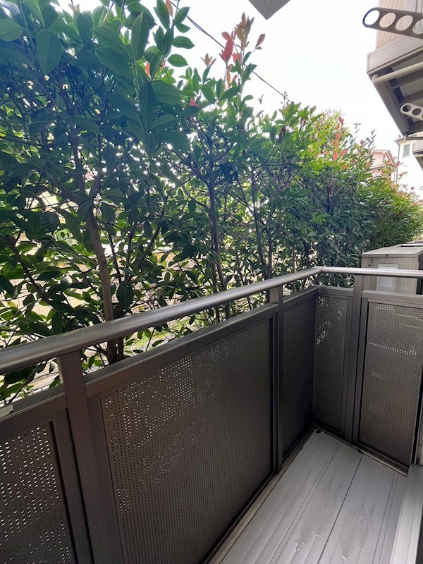 サウスウインド その他5