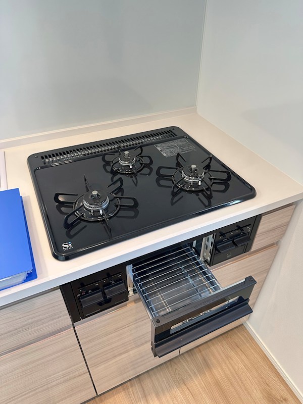 Iris南大井  その他12