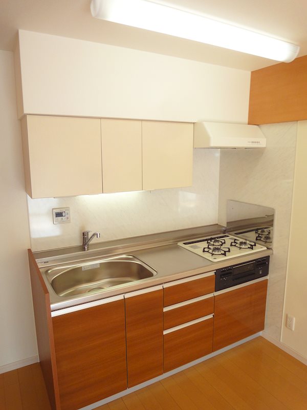 第一新世界ビル  キッチン