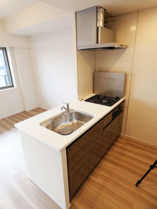 フレンシア蒲田 キッチン