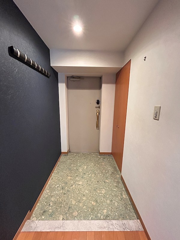 セザール大森山王 玄関