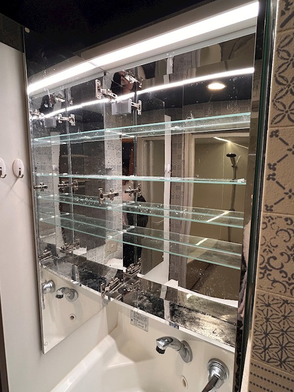 セザール大森山王 その他38