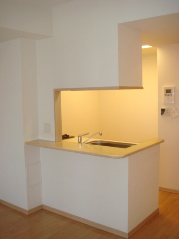 カスタリア大森 キッチン