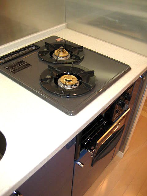 ガーラ・シティ大井町  その他10