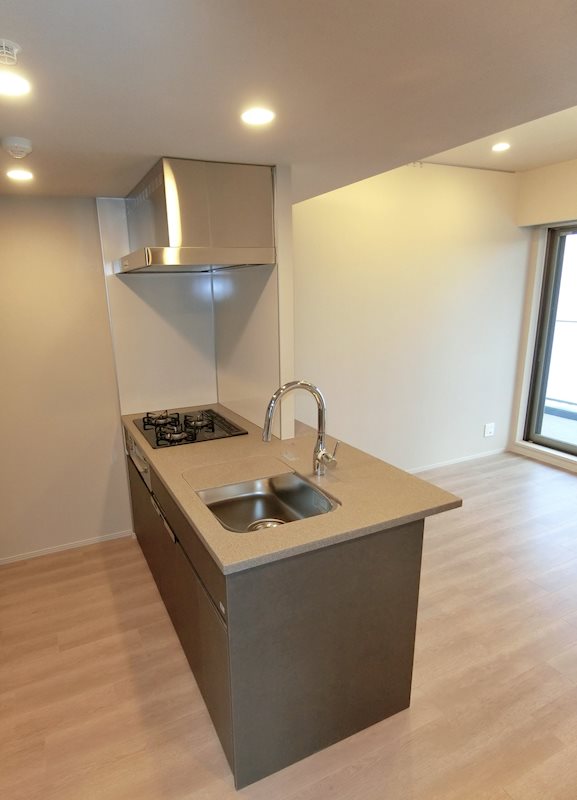 Brillia ist 大井町 キッチン