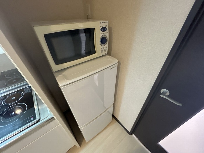 レオネクストグリーンライト その他10