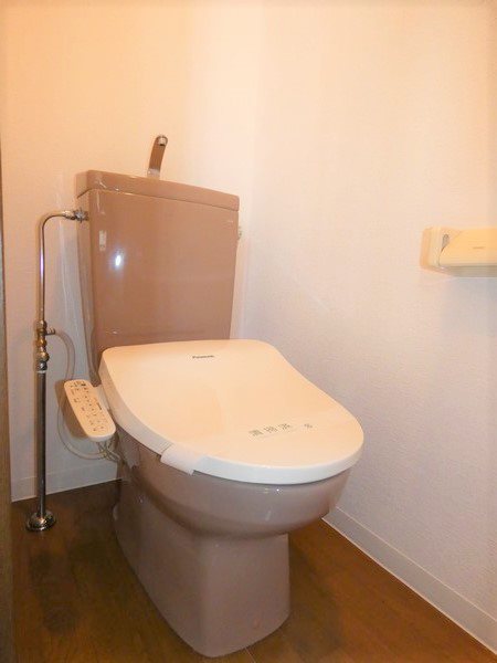 ステラK  その他3