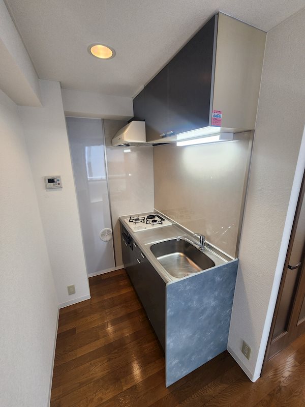 ステラK その他2