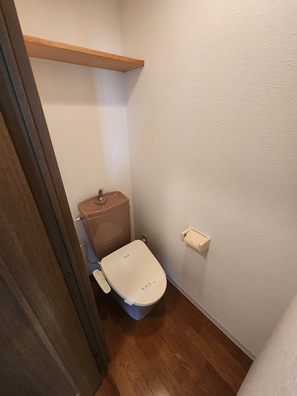 ステラK その他3