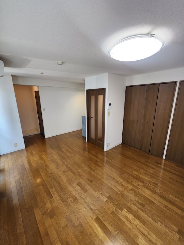 ステラK その他5