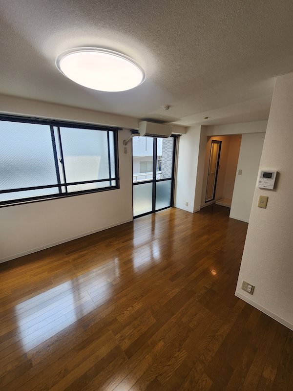 ステラK その他12