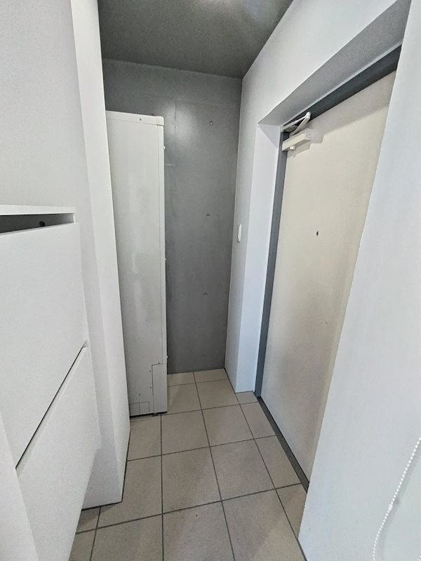 ベェレハーモニー戸越 その他1