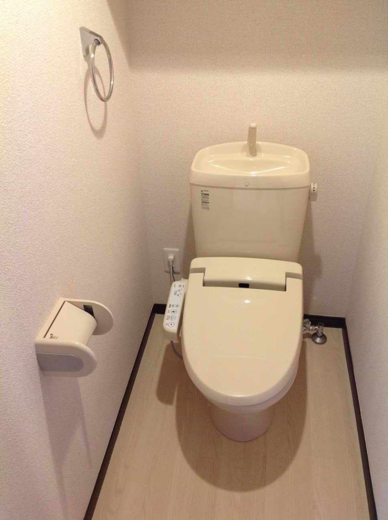 レオネクストブラウネスハイムⅢ その他10