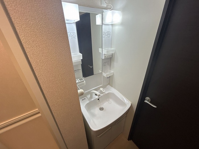 レオネクストグリーンライト その他7