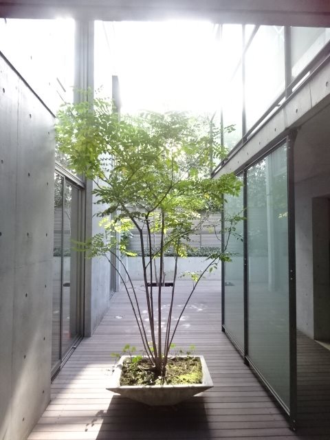 DENFLAT南平台  その他8