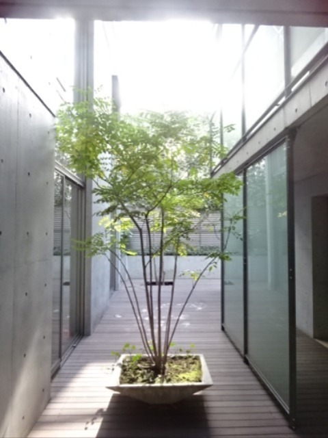 DENFLRAT南平台 その他6