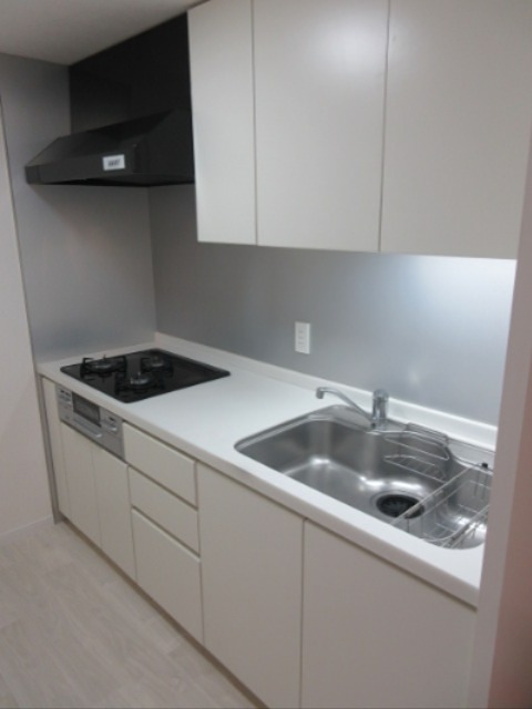 DENFLRAT南平台 キッチン