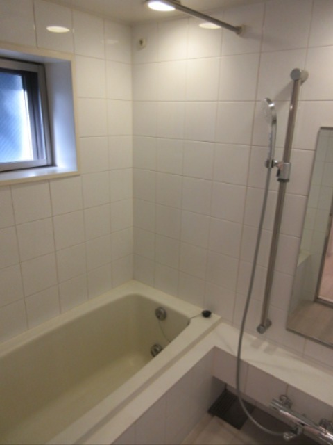 DENFLRAT南平台 風呂画像