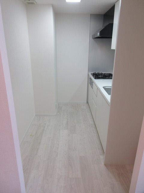 DENFLAT南平台 その他12