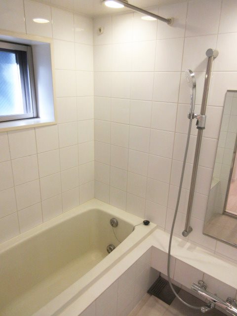 DENFLAT南平台 風呂画像