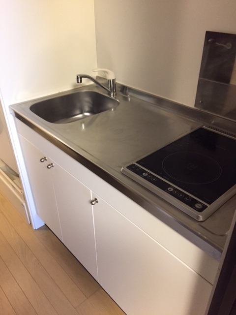 レオネクストラフィーネＡＯＫＩ キッチン